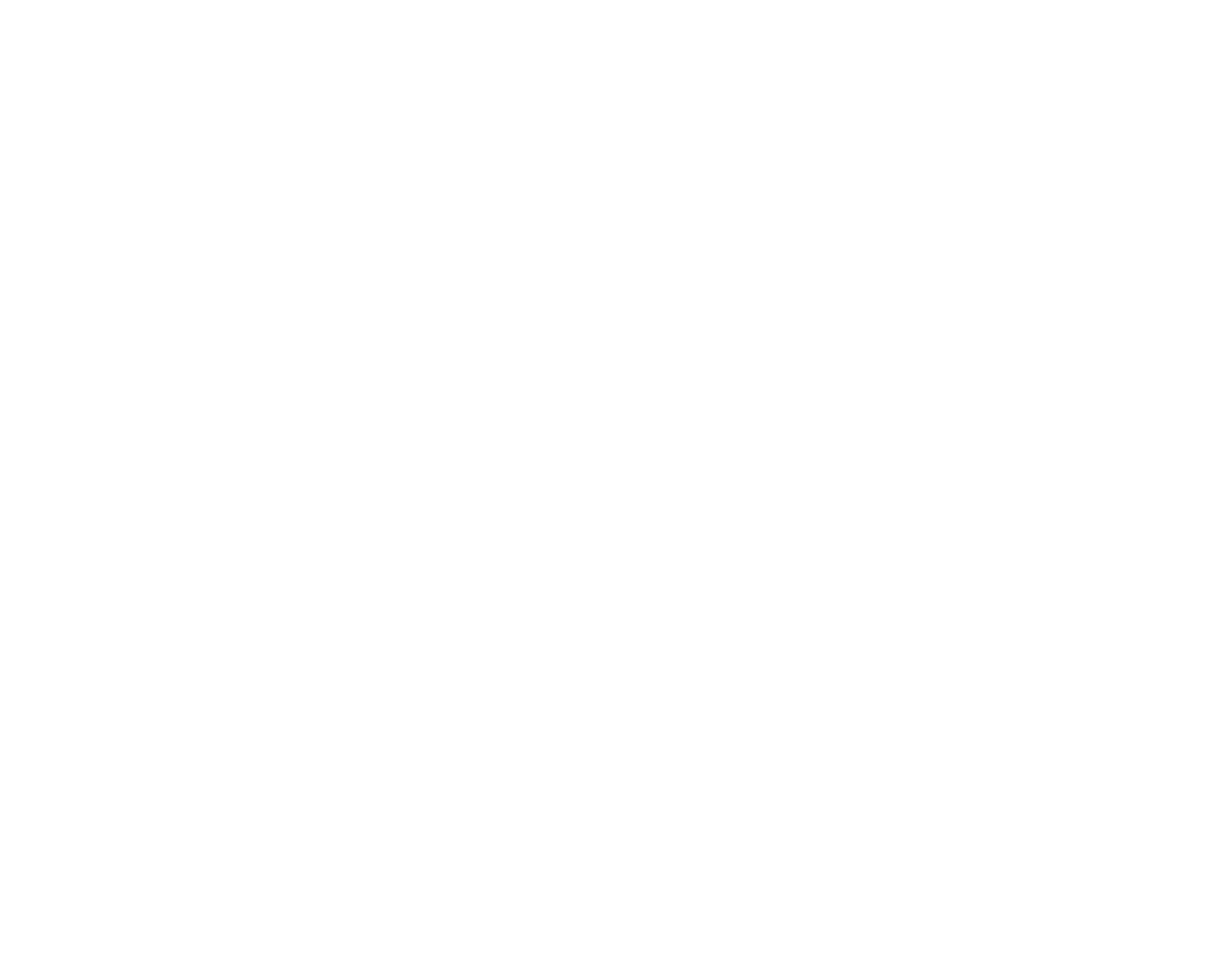 logo new ventures blanco (1)